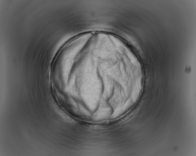 X0000092261275200710121332