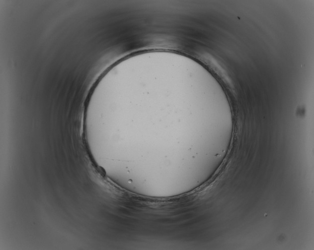 X0000092261276200710121332