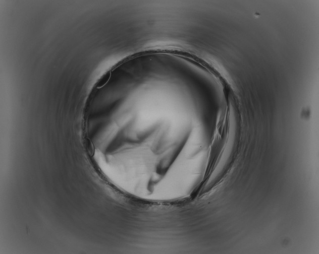 X0000092261277200710121332