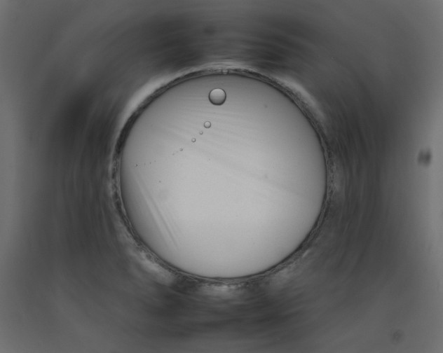 X0000092261278200710121332