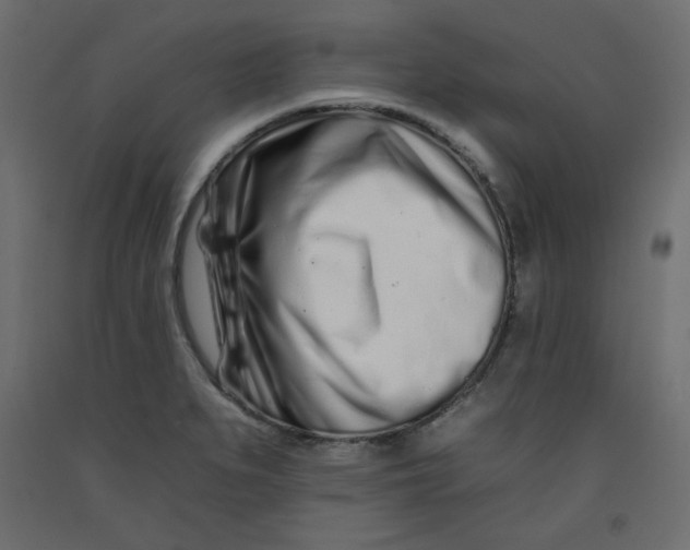 X0000092261279200710121332