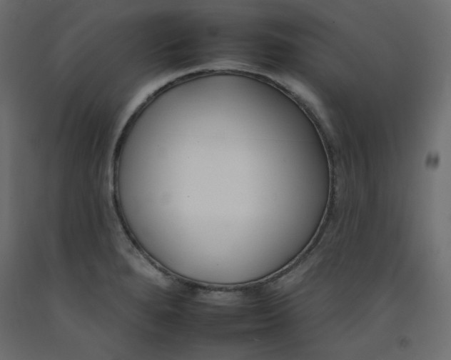 X0000092261280200710121332