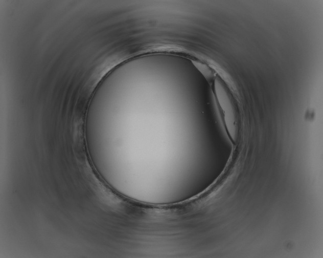 X0000092261281200710121332