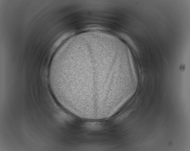 X0000092261282200710121332