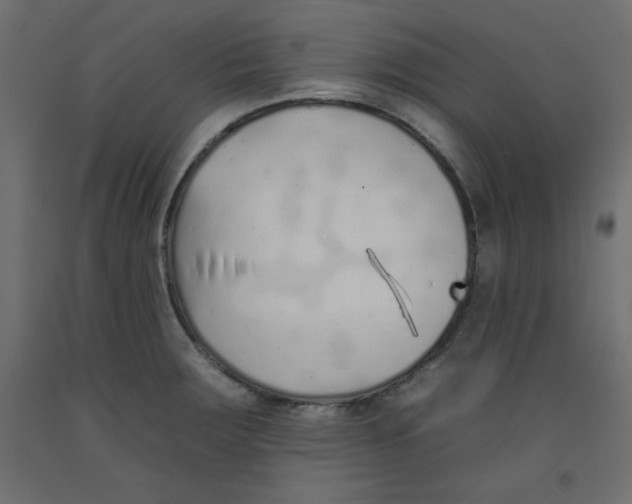 X0000092261283200710121331