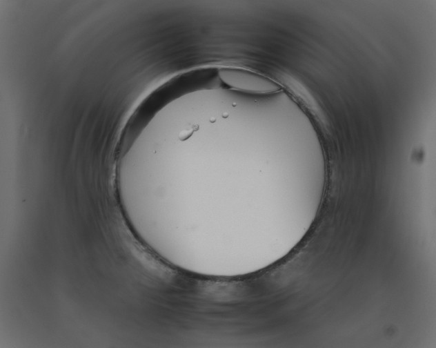 X0000092261284200710121331