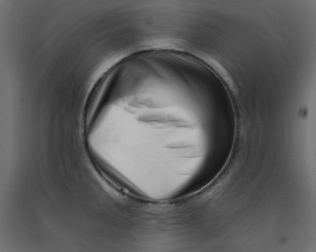 X0000092261285200710121331