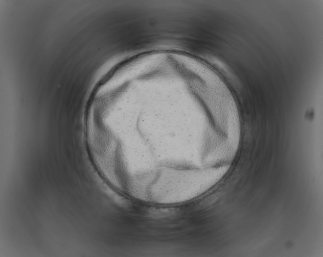 X0000092261286200710121331