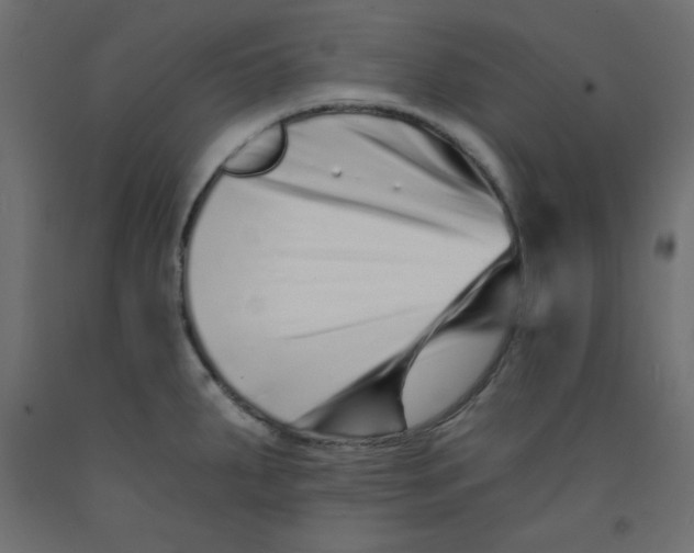 X0000092261287200710121331