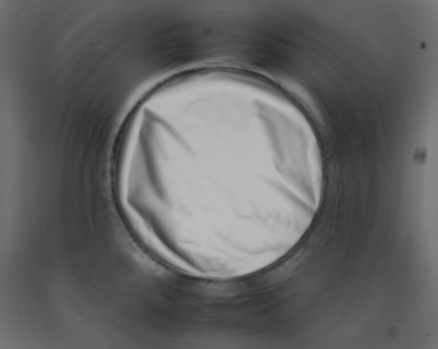 X0000092261288200710121331