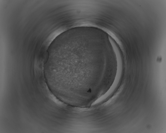 X0000092261289200710121331