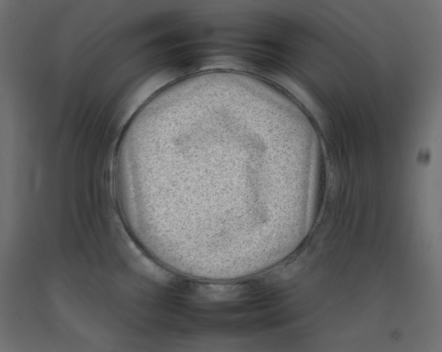 X0000092261290200710121331