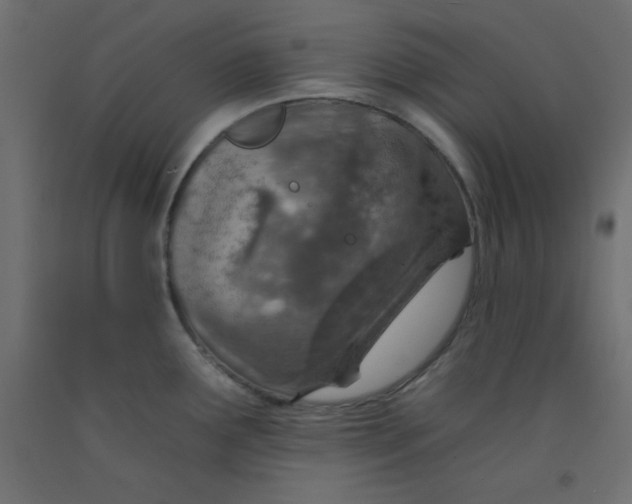 X0000092261291200710121331