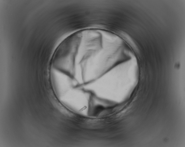 X0000092261292200710121331