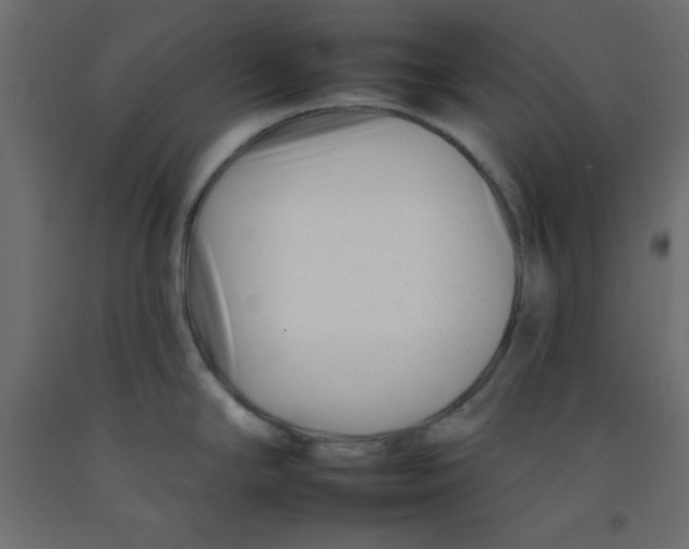 X0000092261294200710121331