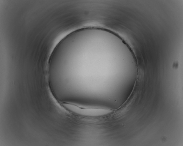 X0000092261295200710121331