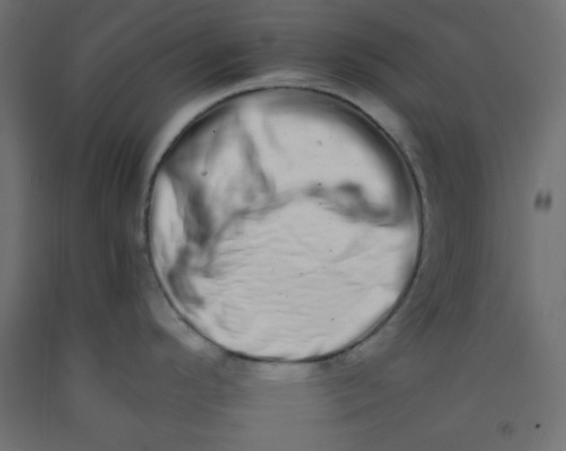 X0000092261296200710121331