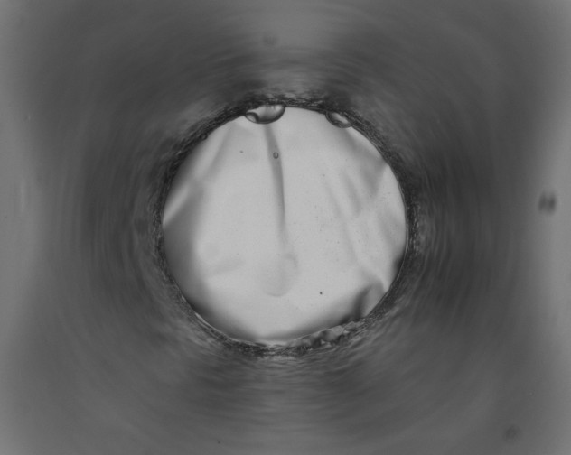 X0000092261297200710121331