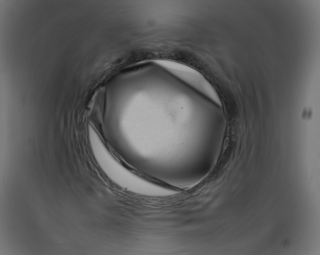 X0000092261298200710121331