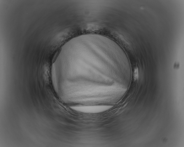 X0000092261299200710121331