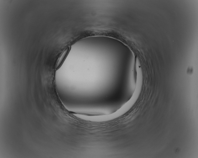 X0000092261300200710121331