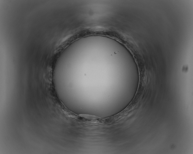 X0000092261301200710121331