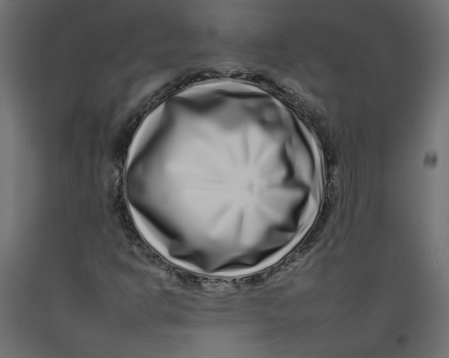 X0000092261302200710121331