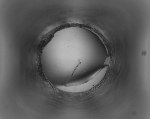 X0000092261303200710121331