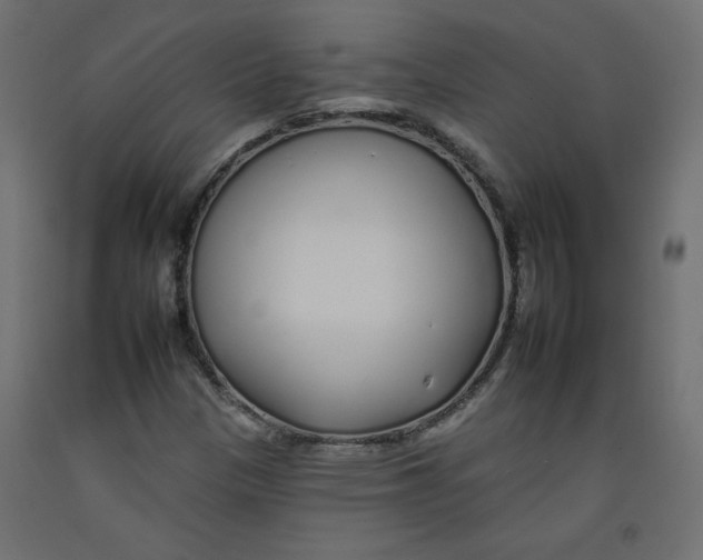 X0000092261305200710121331