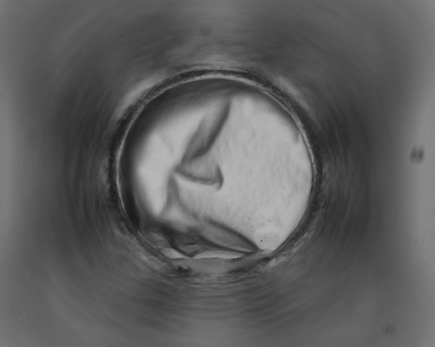 X0000092261307200710121331