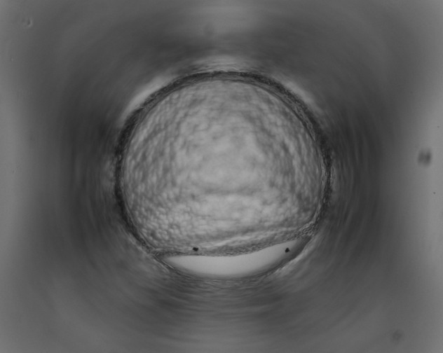 X0000092261309200710121331