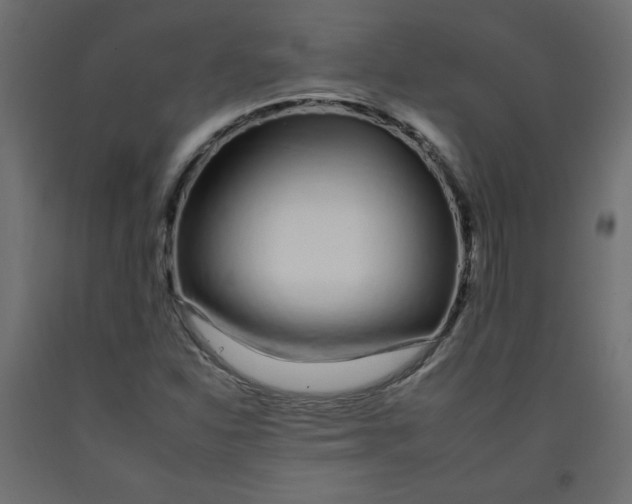 X0000092261310200710121331