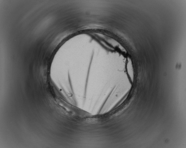 X0000092261313200710121331