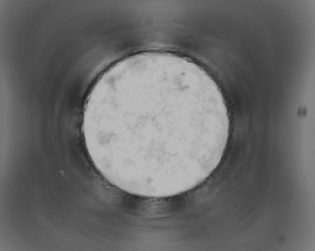 X0000092261314200710121331