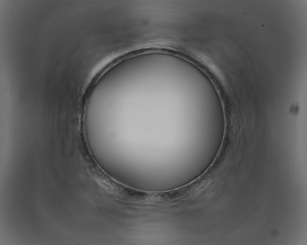 X0000092261316200710121331