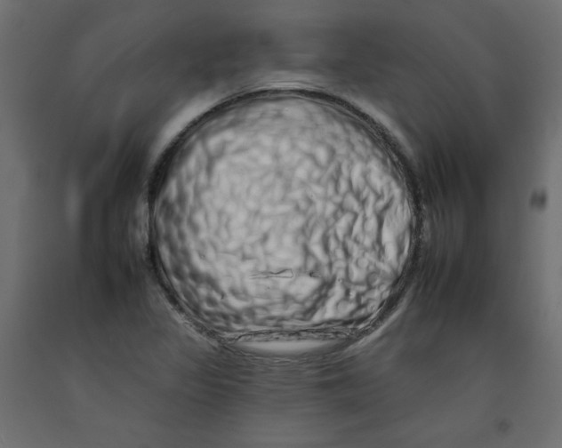 X0000092261317200710121331