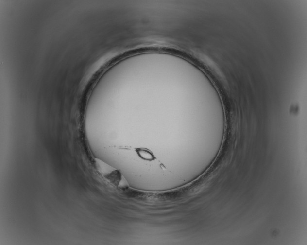 X0000092261318200710121331