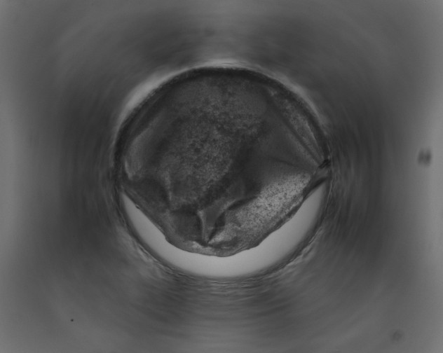 X0000092261319200710121331