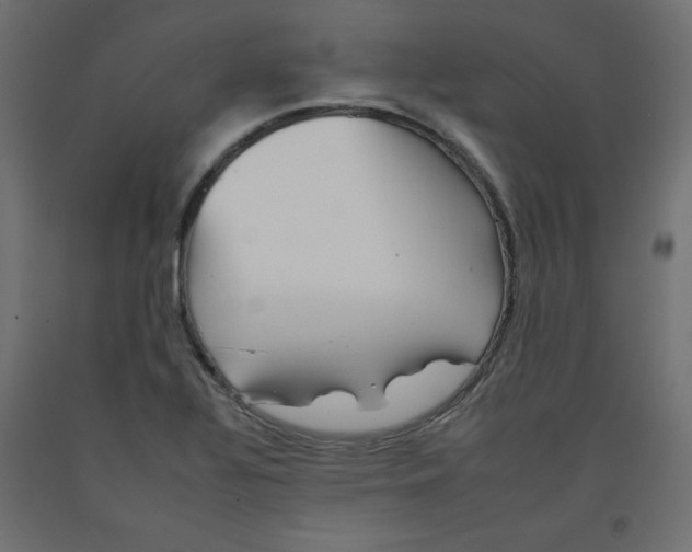 X0000092261320200710121331