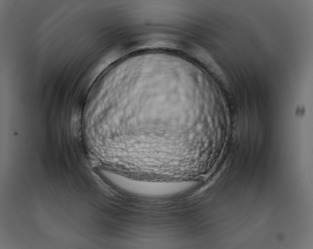 X0000092261321200710121331