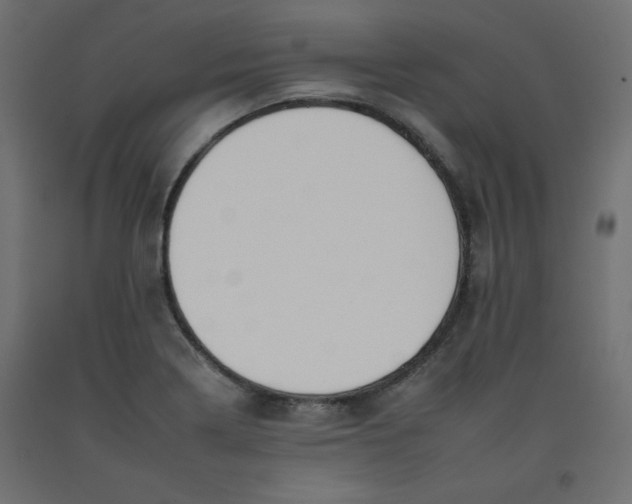 X0000092261322200710121331