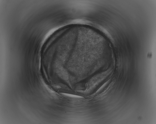 X0000092261323200710121331