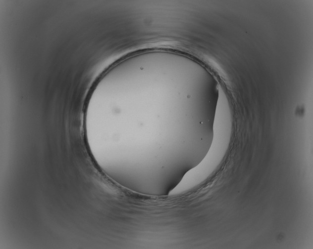 X0000092261324200710121331