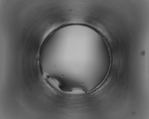 X0000092261325200710121331