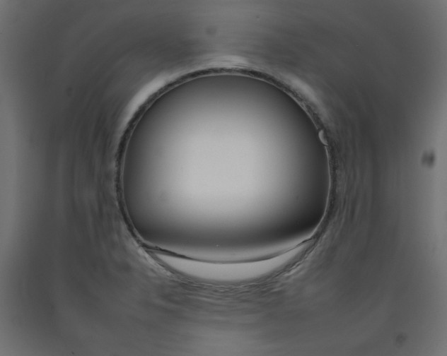 X0000092261326200710121331