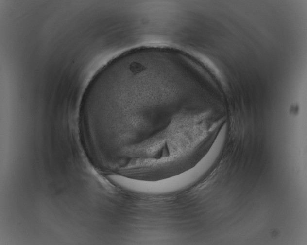 X0000092261327200710121331