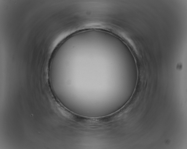 X0000092261328200710121331