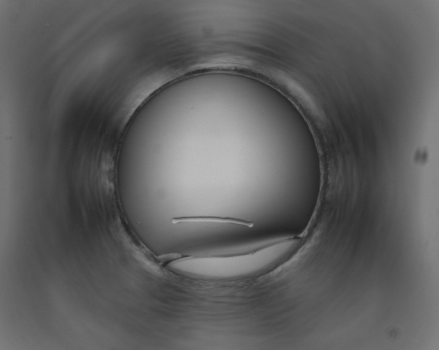 X0000092261329200710121331