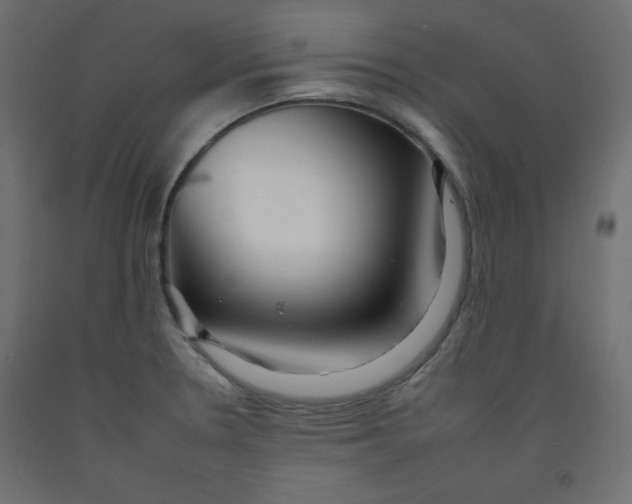 X0000092261330200710121331