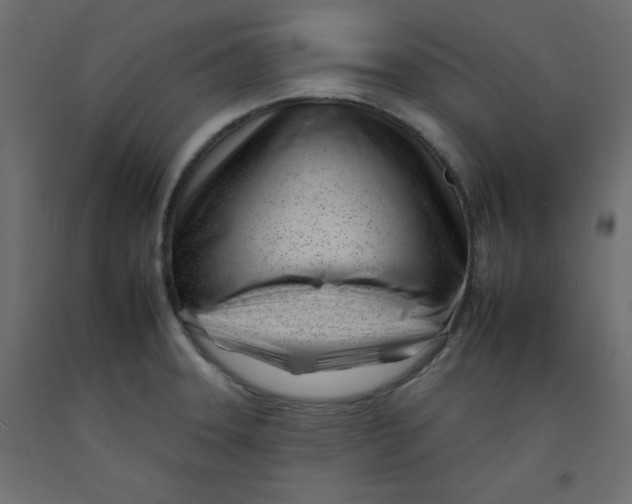 X0000092261331200710121331